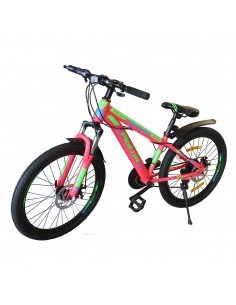 Bicycle 24, Verona Pigeon