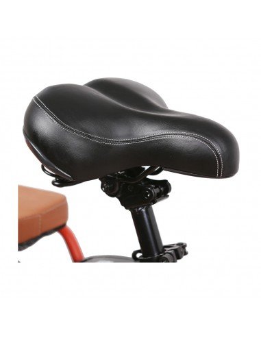 Nakto electric bike 20" Pony