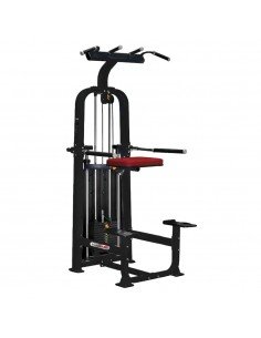 Dip / Chin Assist Proff VG...