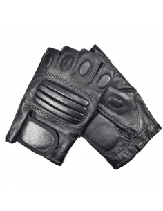 Fitness Glove LN-1921