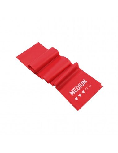 Livepro Resistance Band (Medium)...