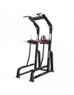 VolksGym Vertical Knee...