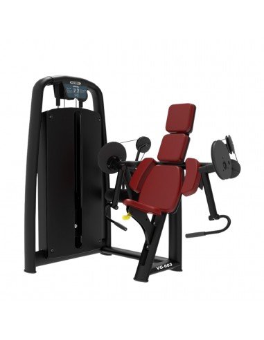 Volksgym Biceps Curl VG-603