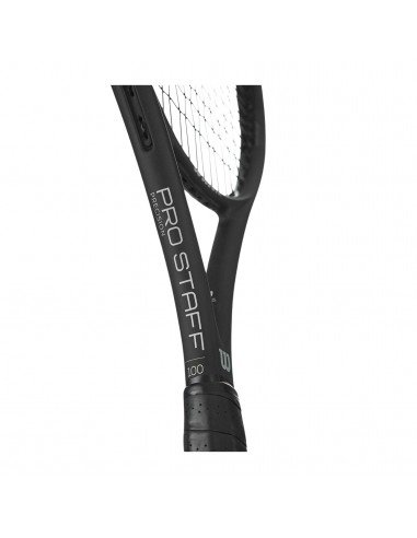 Wilson Tennis Racket WS PRO WR-019010U2