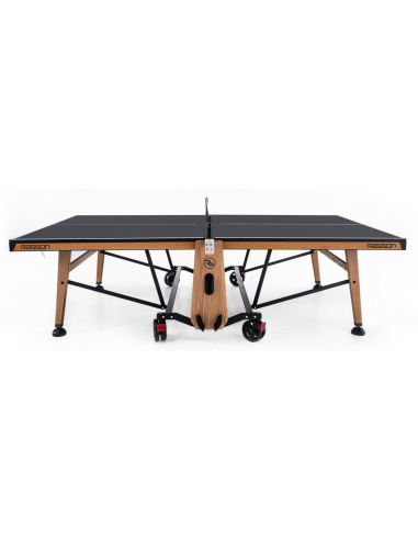 Rasson R-T01 Tennis Table
