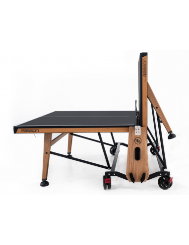 Rasson R-T01 Tennis Table