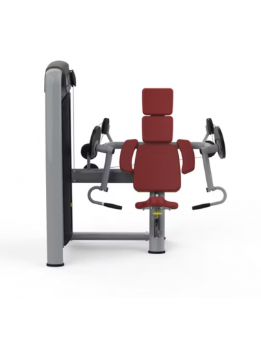 Volksgym Biceps Curl VG-603