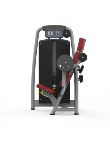 Volksgym Biceps Curl VG-603