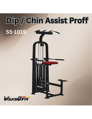 Dip / Chin Assist Proff VG S5-1019