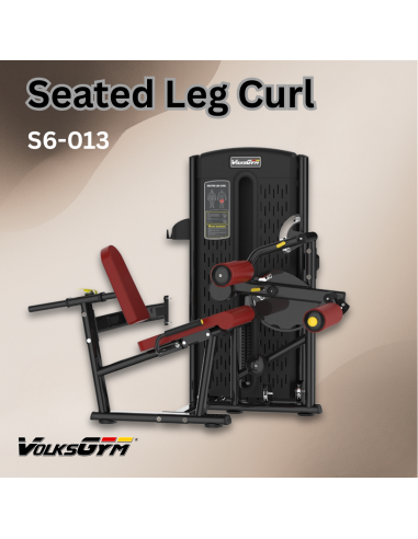 S6 series Seated Leg Curl Volksgym...