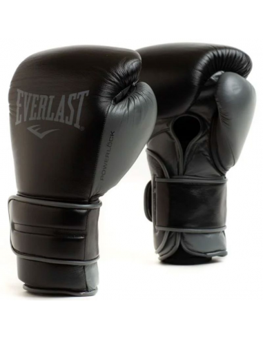 Everlast Powerlock Boxing Glove