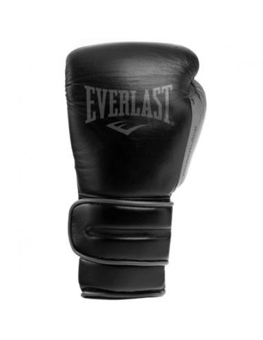 Everlast Powerlock Boxing Glove