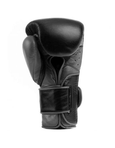 Everlast Powerlock Boxing Glove