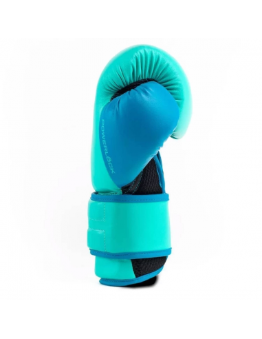 Everlast Powerlock Boxing Glove