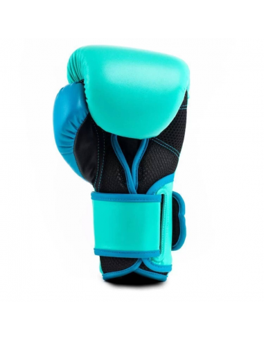 Everlast Powerlock Boxing Glove
