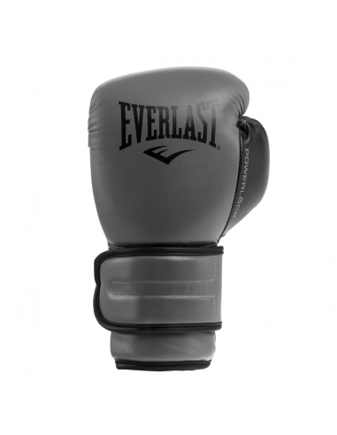 Everlast Powerlock Boxing Glove