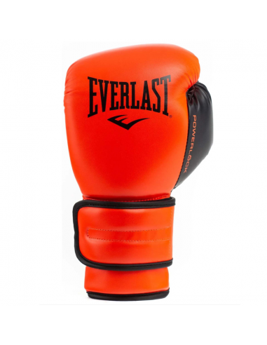 Everlast Powerlock Boxing Glove
