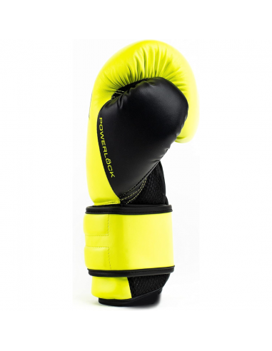 Everlast Powerlock Boxing Glove