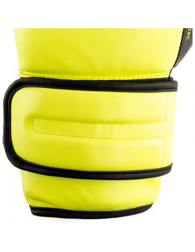 Everlast Powerlock Boxing Glove