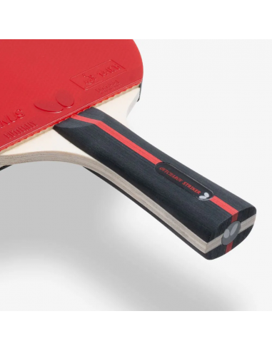 Butterfly Stolüstü Tennis Raketkası...