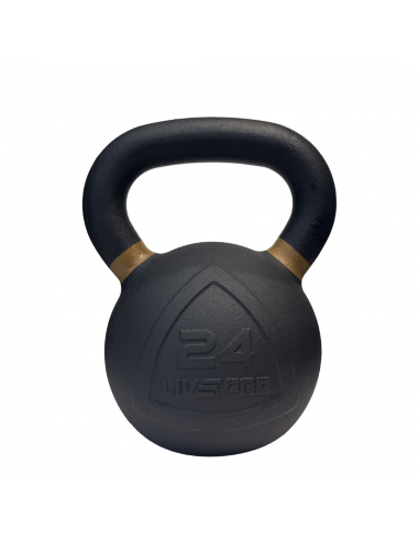 Çəki daşı Livepro 24KG LP8049-24