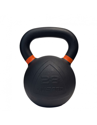 Çəki daşı Livepro 28KG LP8049-28