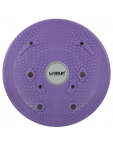 Sağlamlıq diski MAGNETIC DISC Liveup...