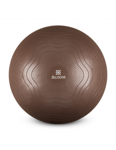 Aerobika topu Bloom  65 sm...