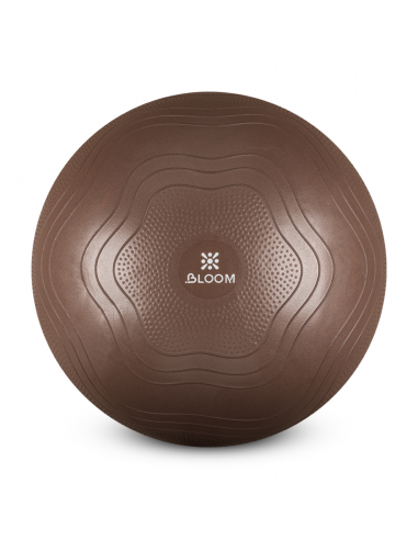 Aerobika topu Bloom  65 sm LB7051/65
