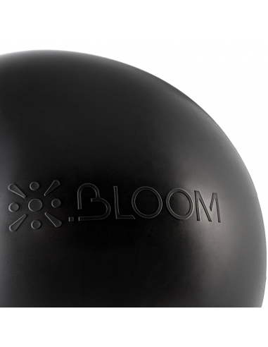 Aerobika topu Bloom PREMIUM YOGA BALL...