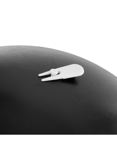 Aerobika topu Bloom PREMIUM YOGA BALL...