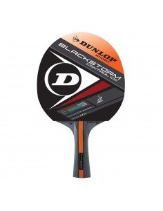 Dunlop DL679203