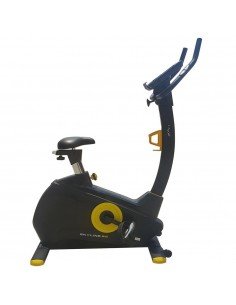 Upright Bike B20